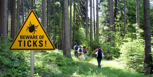 A group of hikers walks through the woods past a sign reading Beware of Ticks in Houston, TX