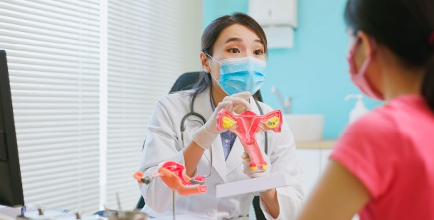 doctor with a model of the female reproductive system