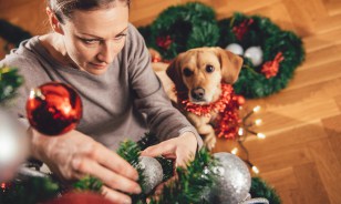 Common Holiday Accidents - The US Consumer Product Safety Commission even reports approximately 12,000 emergency room visits each year are thanks to falls, lacerations, and electrical shocks people endure while setting up decorations.