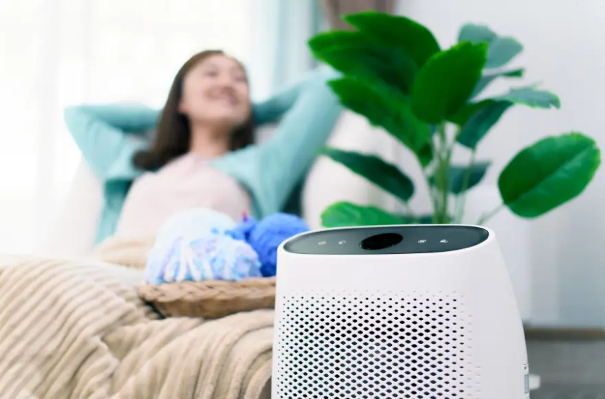 Do Air Purifiers Help with Allergies?