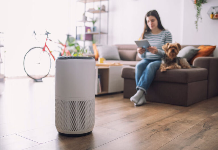 A Network of Emergency Rooms Explains: Do Air Purifiers Help with Allergies?